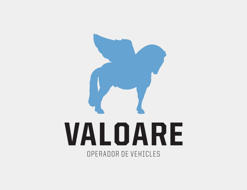 logo Valoare
